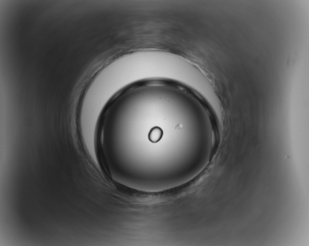 X0000090750293200707201455