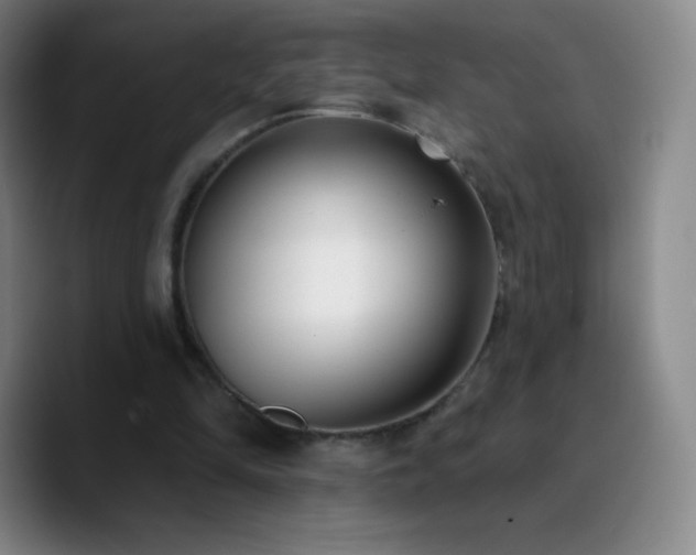 X0000090750294200707201455