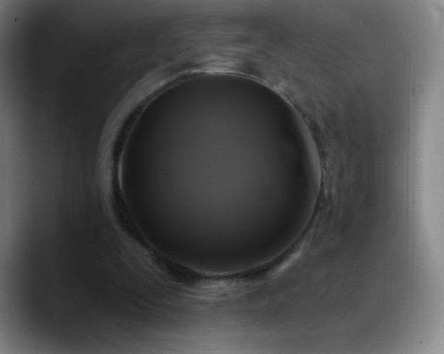 X0000090750295200707201455