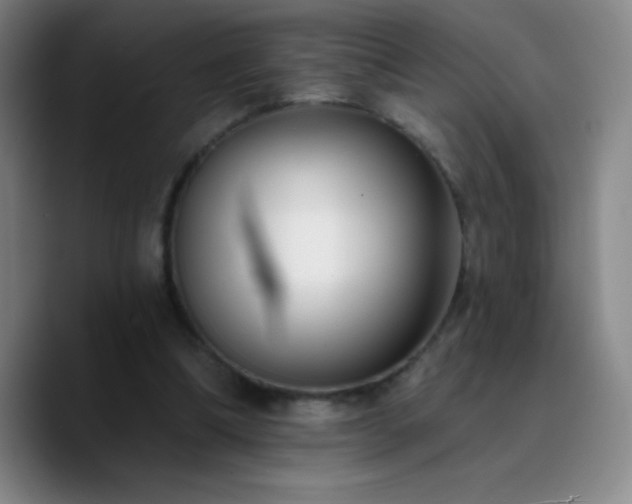 X0000090750298200707201455