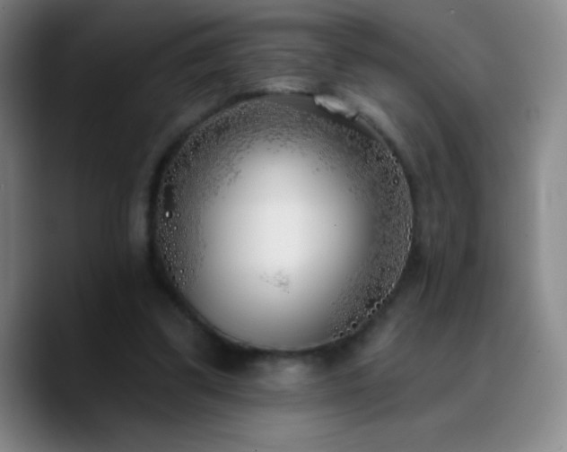 X0000090750299200707201455