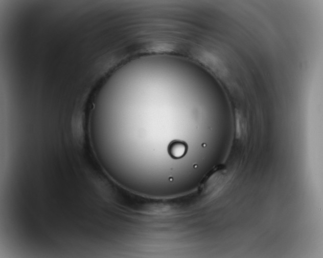 X0000090750300200707201455