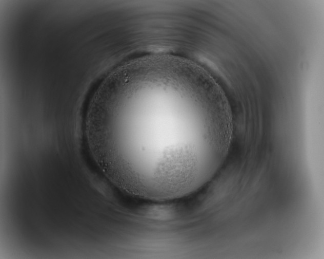 X0000090750303200707201455
