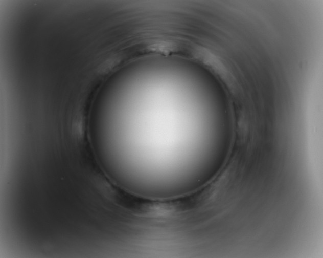 X0000090750305200707201455