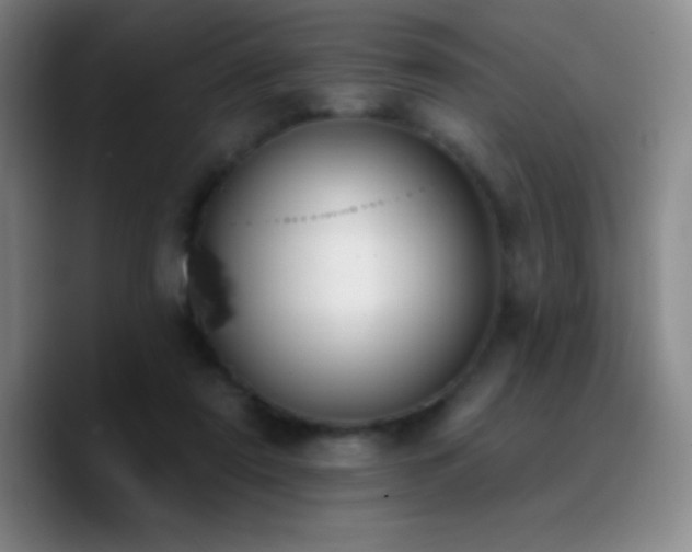 X0000090750307200707201455