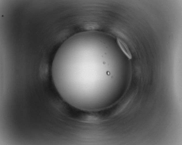 X0000090750308200707201455