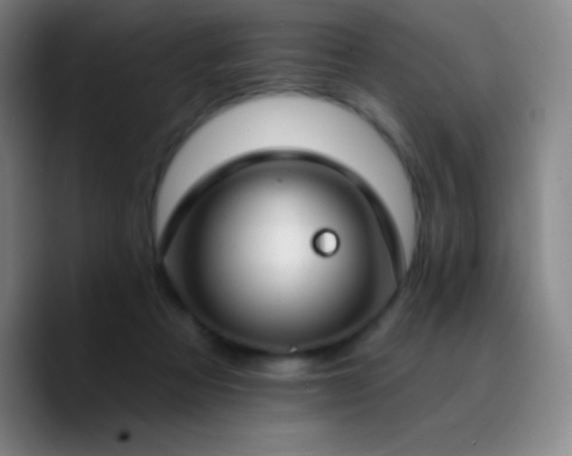 X0000090750313200707201455