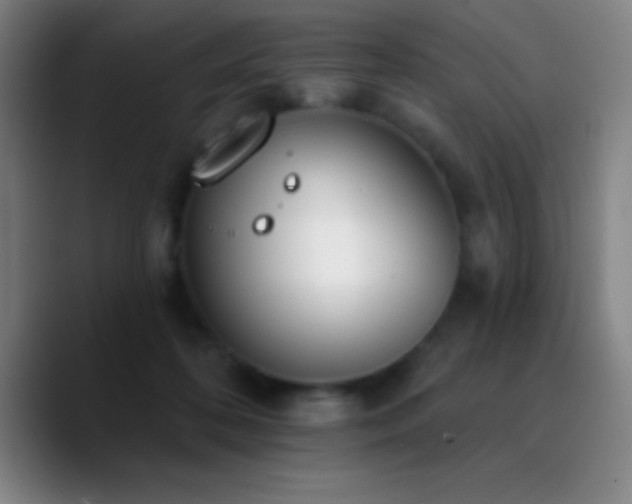 X0000090750316200707201455