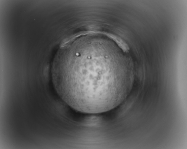 X0000090750319200707201455