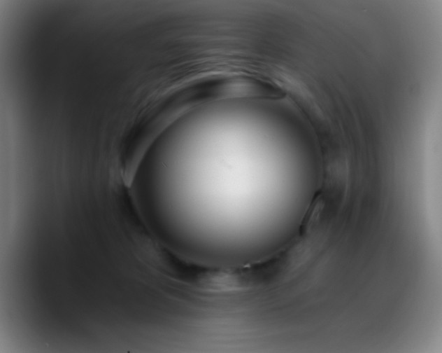 X0000090750325200707201454