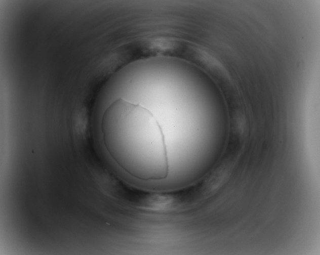 X0000090750328200707201454
