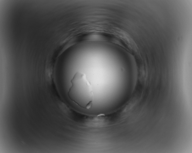 X0000090750329200707201454