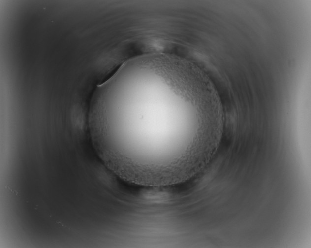 X0000090750331200707201454