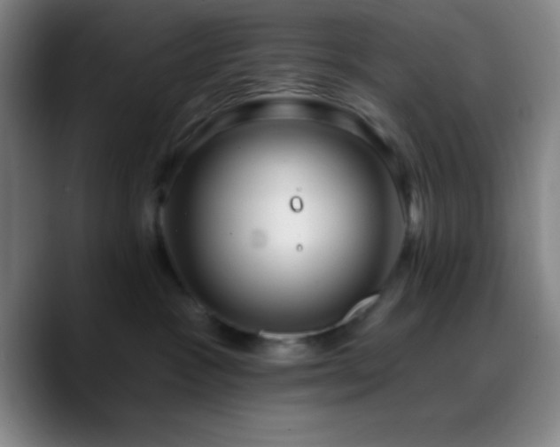X0000090750333200707201454