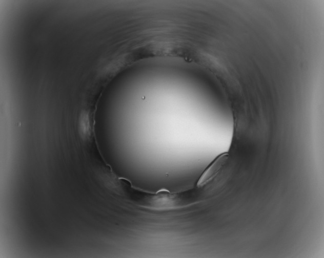 X0000090750335200707201454