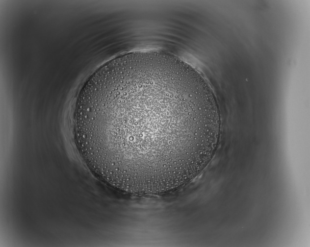 X0000090750337200707201454