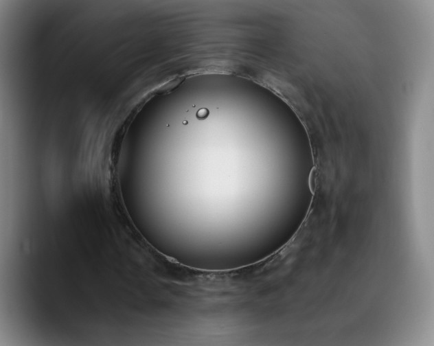 X0000090750338200707201454