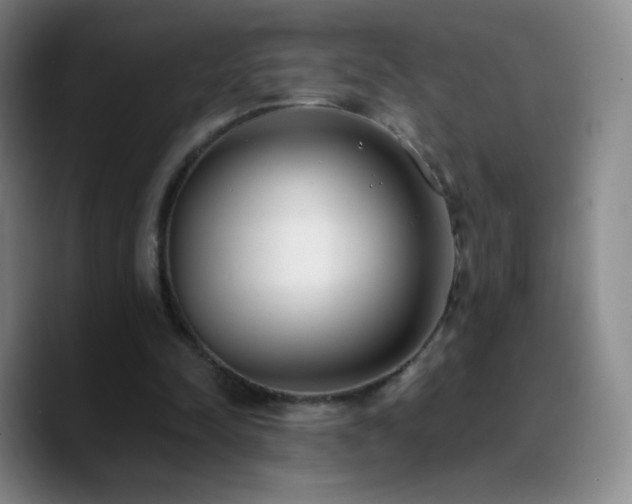 X0000090750342200707201454