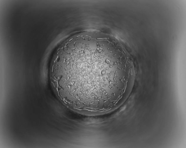 X0000090750343200707201454