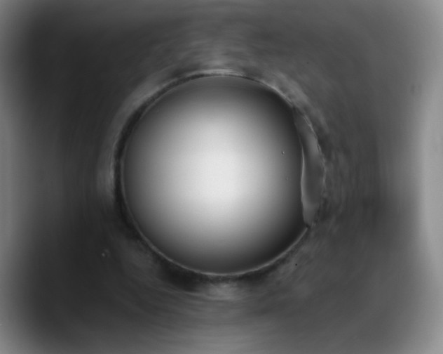 X0000090750344200707201454