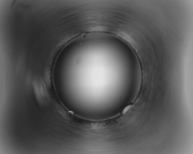 X0000090750345200707201454