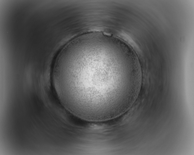 X0000090750346200707201454
