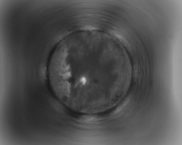 X0000090750351200707201454