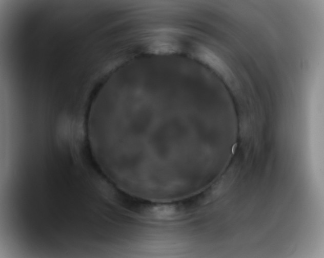 X0000090750353200707201454