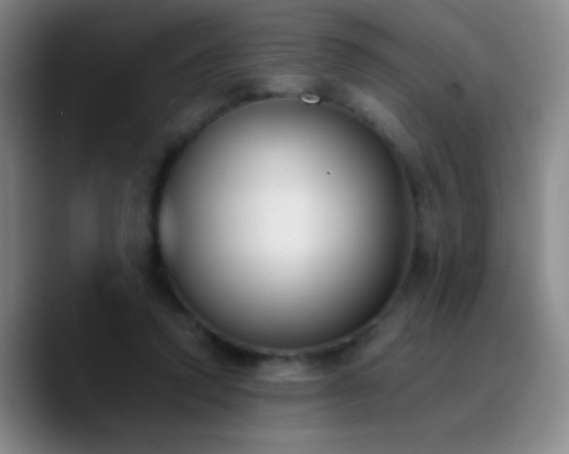 X0000090750354200707201454