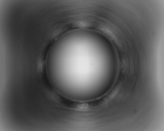 X0000090750355200707201454
