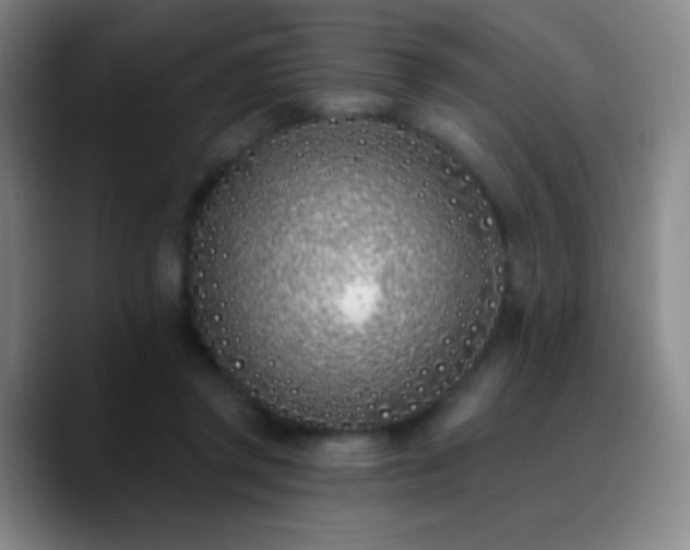 X0000090750357200707201454