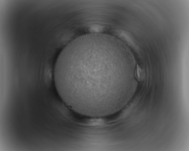 X0000090750363200707201454