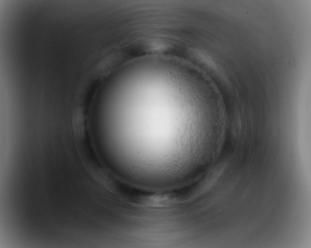 X0000090750366200707201454