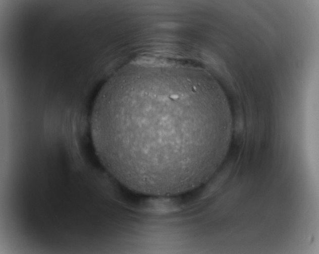 X0000090750367200707201454