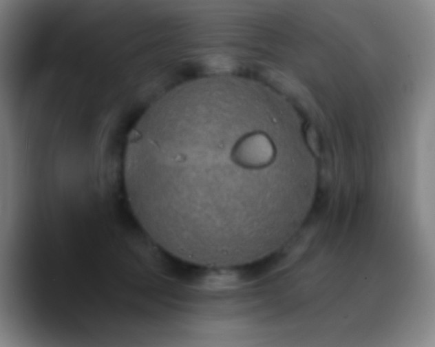 X0000090750369200707201454