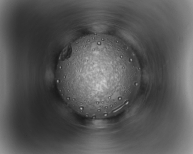 X0000090750371200707201454