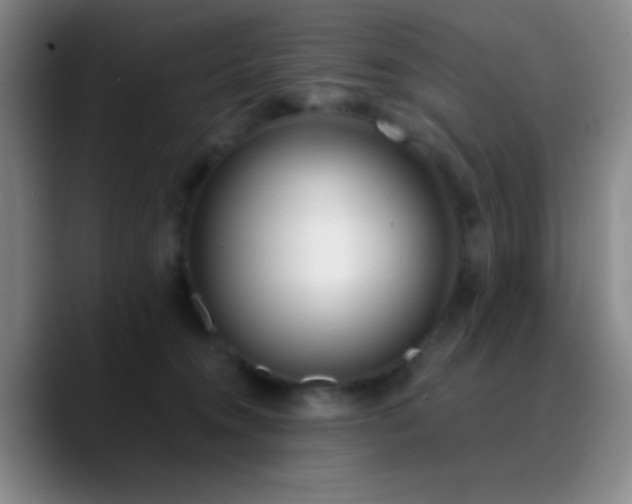 X0000090750372200707201454
