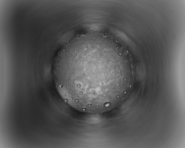 X0000090750377200707201454