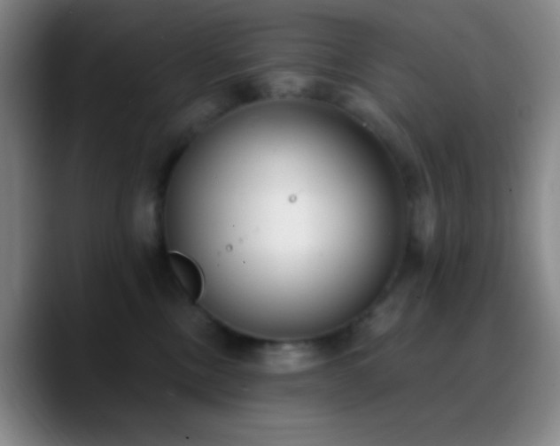 X0000090750378200707201454