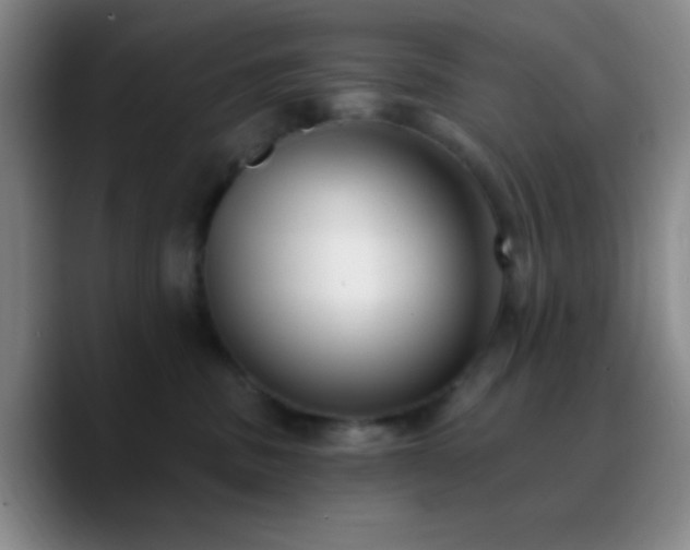 X0000090750379200707201454