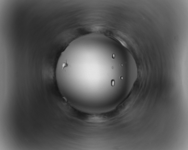 X0000090750380200707201454