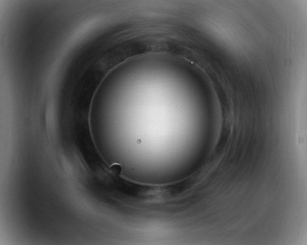 X0000090750383200707201454