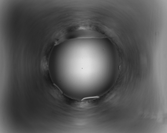 X0000090750384200707201454