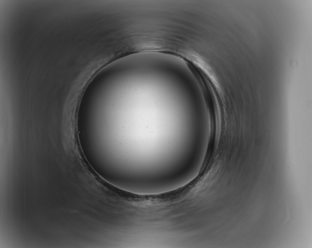 X0000090750385200707201454