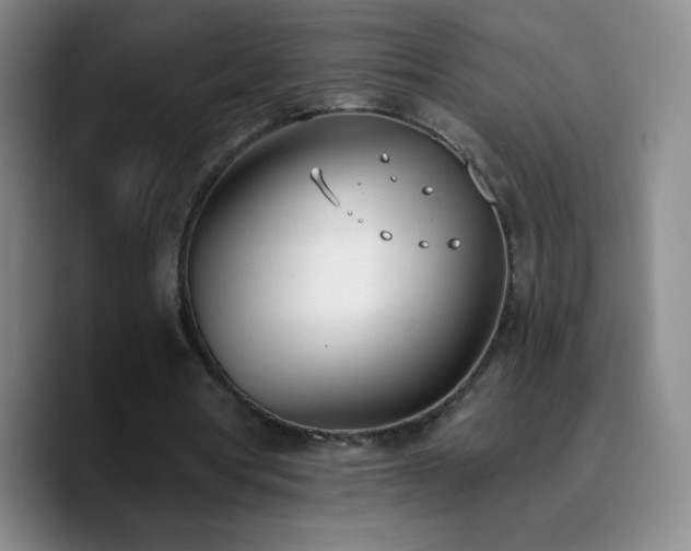 X0000090750386200707201454