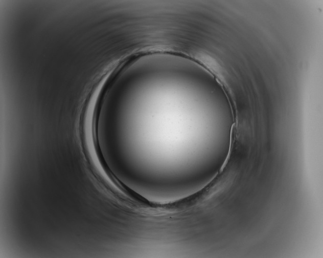 X0000090750389200707201454