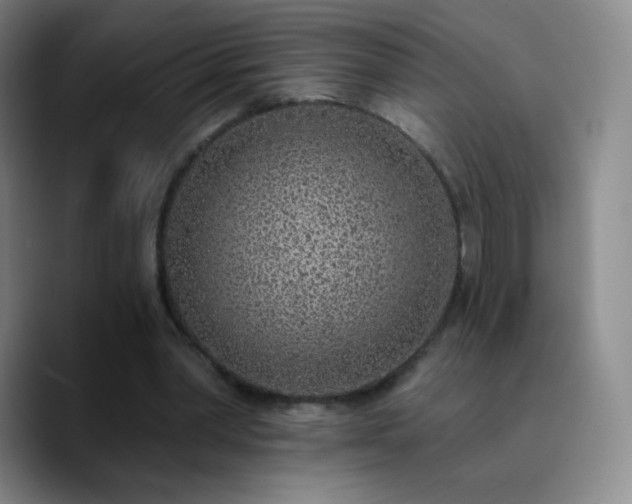 X0000090750390200707201454