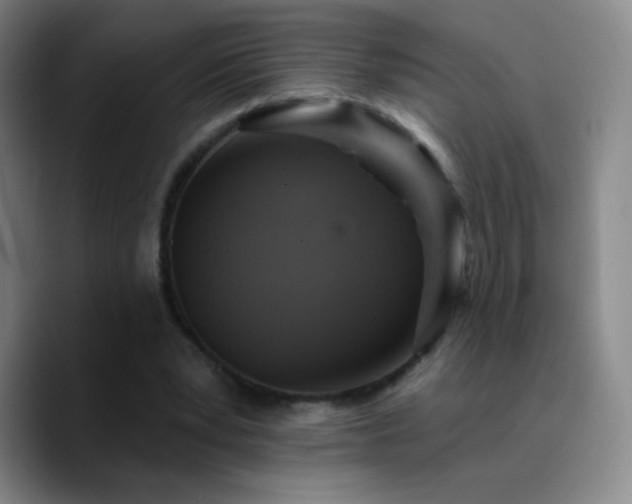 X0000090750391200707201454