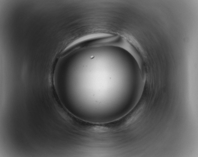 X0000090750393200707201454