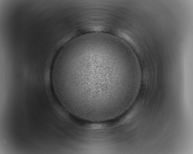 X0000090750394200707201454